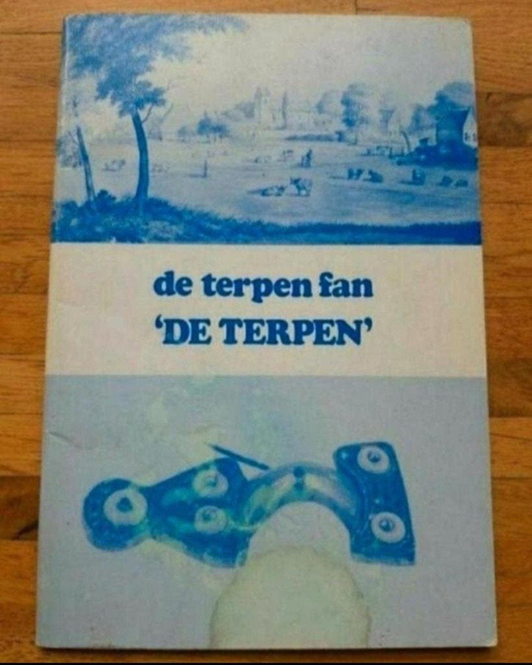 De Terpen fan de terpen
Geschiedenis bodemvondsten archeolog, Ophalen of Verzenden, Zo goed als nieuw