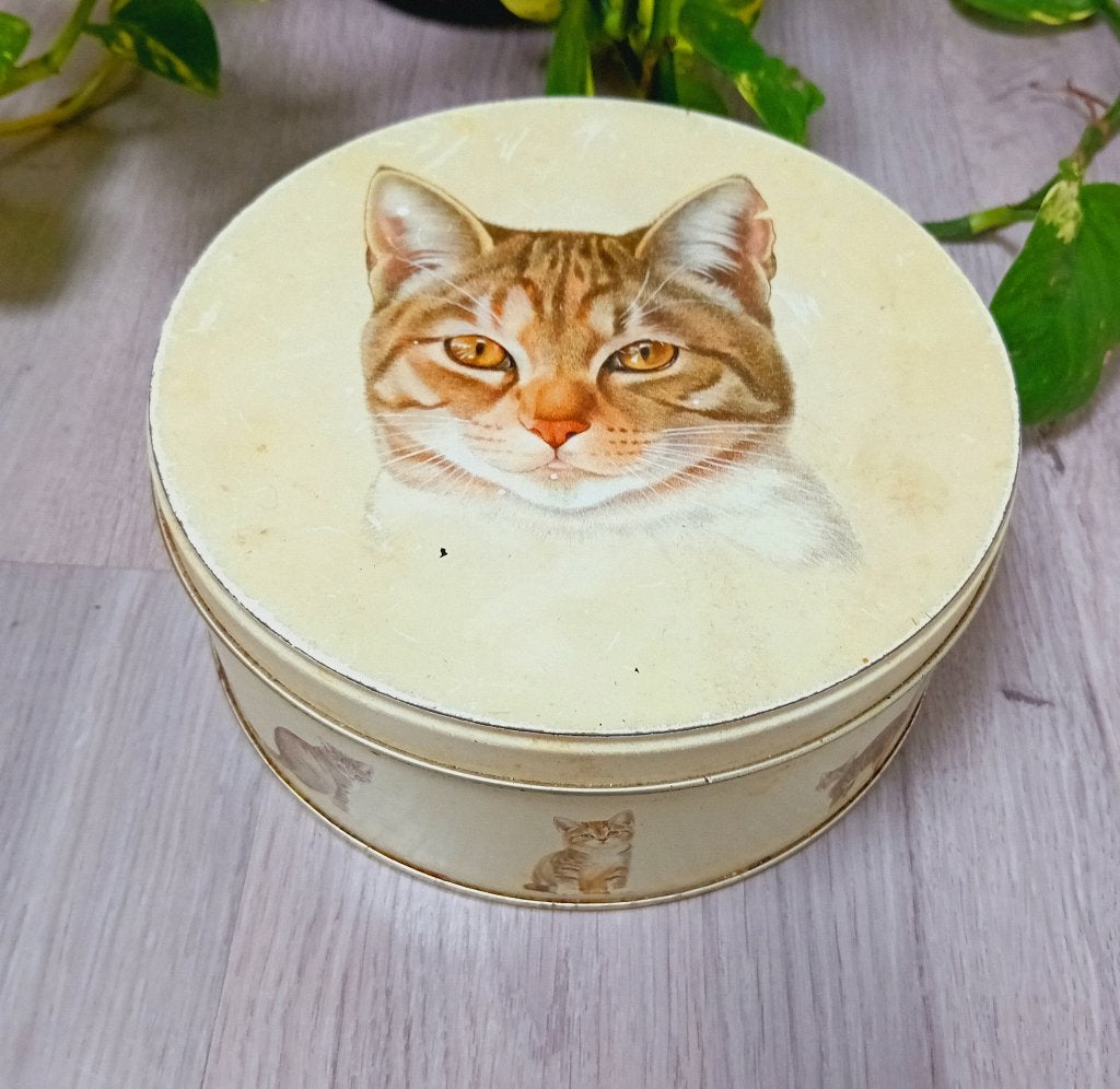 franciens katten blik, Verzenden, Zo goed als nieuw, Overige