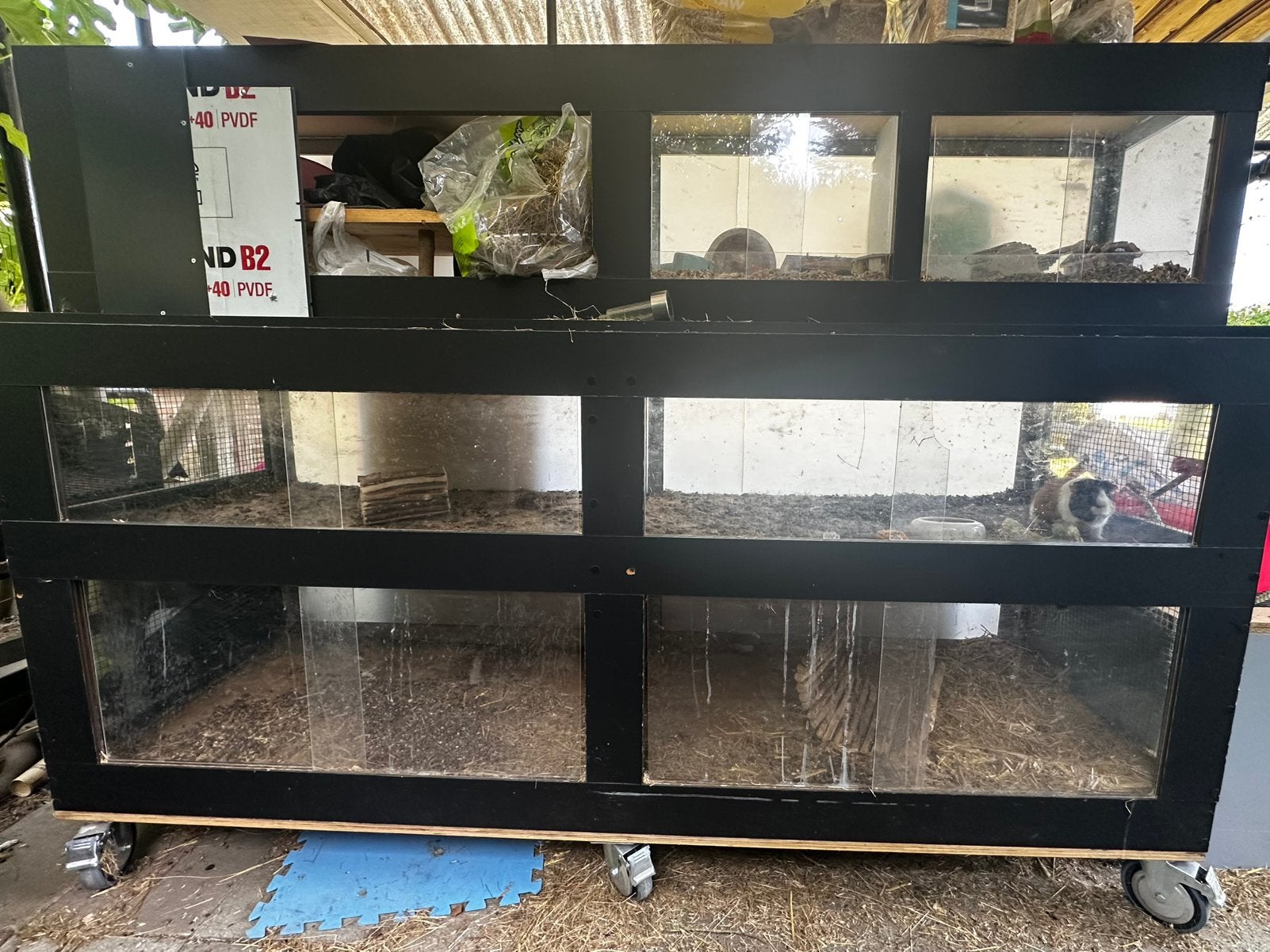 Grote handgemaakte buitenkooi met cavia en muisje, Kooi, Gebruikt, Minder dan 75 cm, Cavia