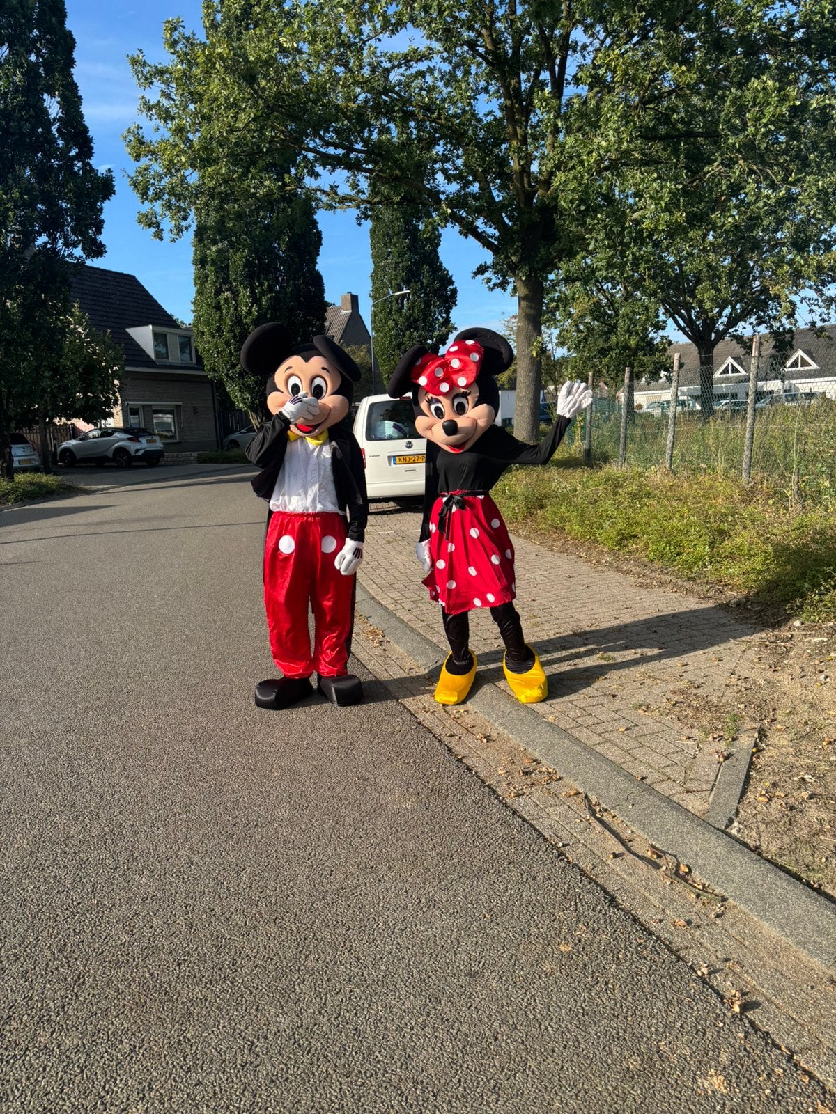 MICKEY EN/OF MINNIE MOUSE MASCOTTE VERHUUR, Ophalen of Verzenden, Zo goed als nieuw, Verjaardag