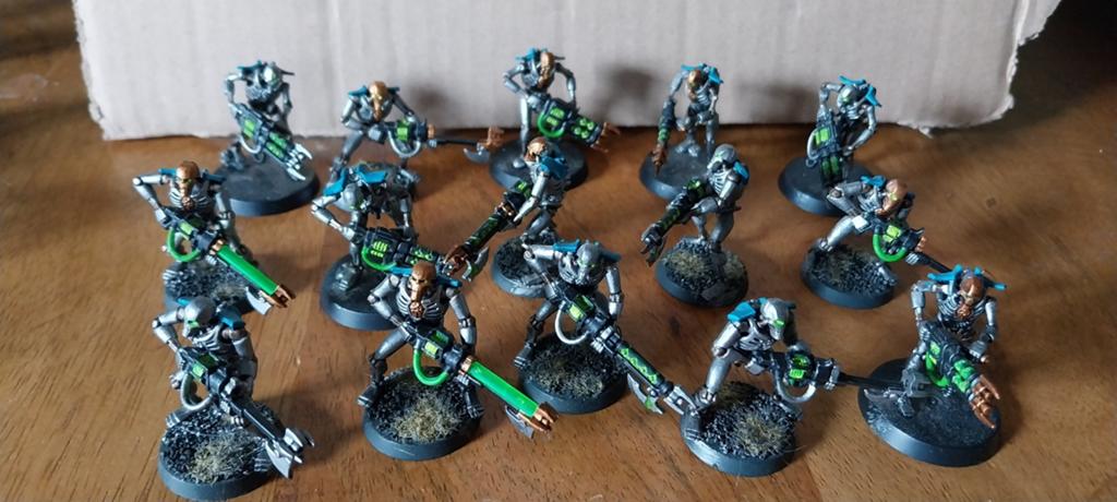 15 Necron Warriors/Immortals - Geschilderd, Hobby en Vrije tijd, Wargaming, Gebruikt, Warhammer, Ophalen of Verzenden