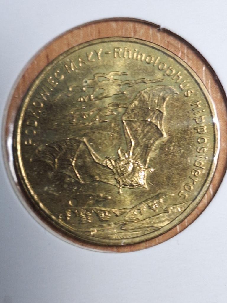 POLEN 2 zlote 2010, vleermuis (#104), Ophalen of Verzenden, Polen, Losse munt