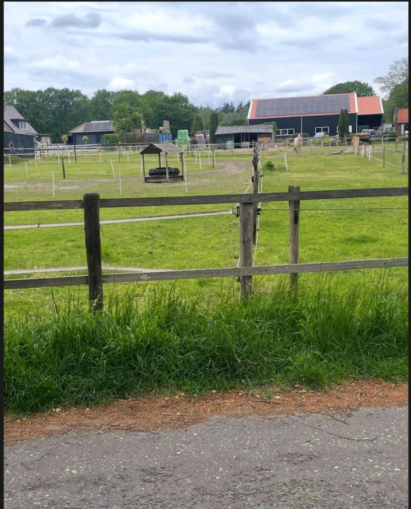 stalling weide, Dieren en Toebehoren, Stalling en Weidegang, Stalling, Weidegang, 1 paard of pony