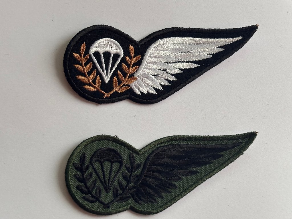 2x KCT Para-Wing Instructeur DT & GVT, Verzenden, Landmacht, Nederland, Kleding of Schoenen