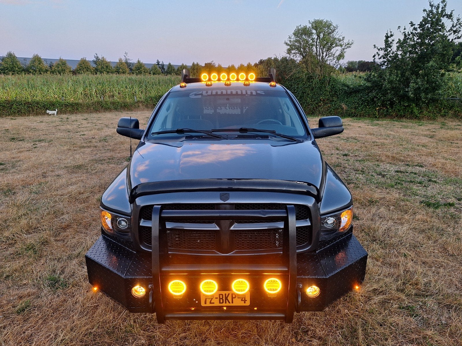 UNIEKE Dodge RAM 2500 5.9 Cummins 500PK Turbo Diesel pickup, Automaat, USB, 2970 kg, Diesel