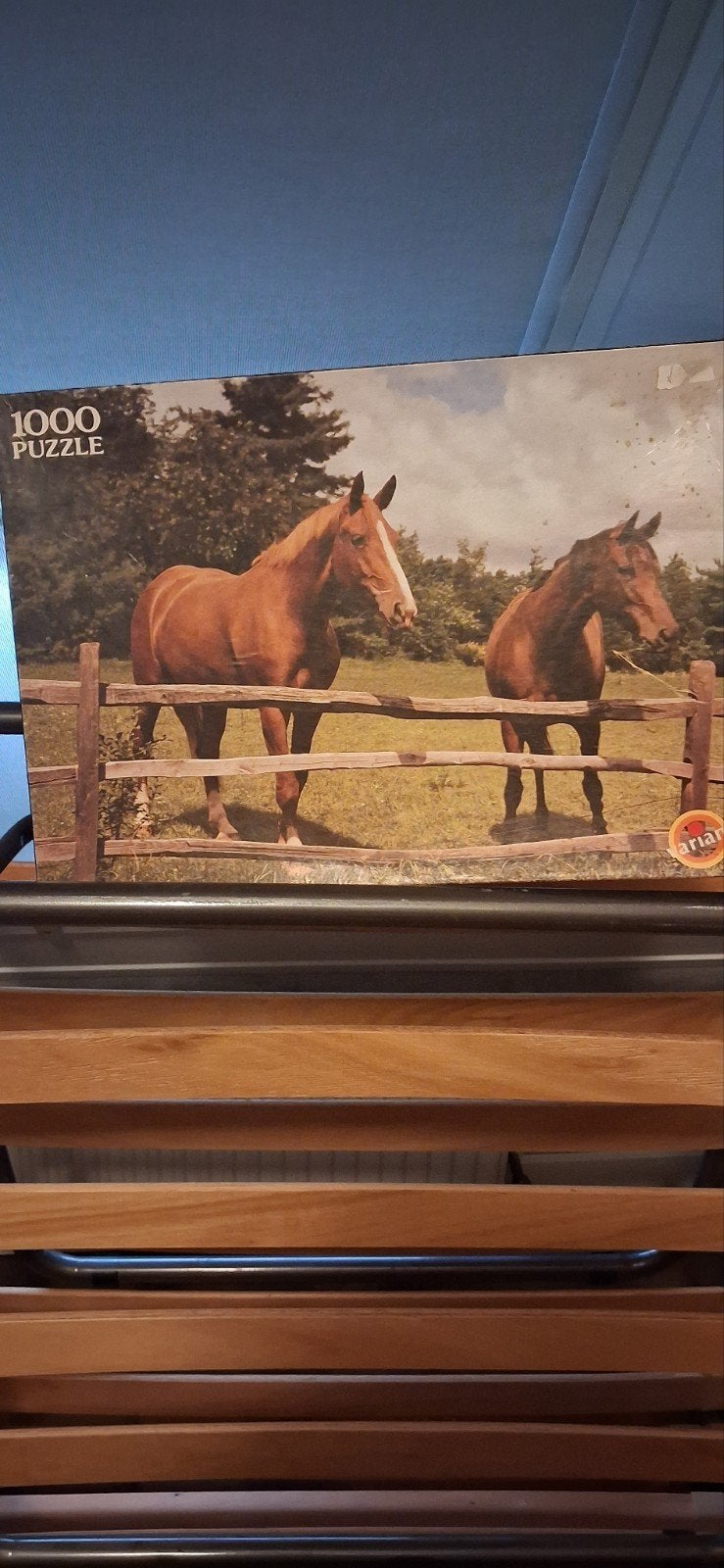 Legpuzzel 1000 stukjes - Twee paarden in de wei, Ophalen of Verzenden, 500 t/m 1500 stukjes, Gebruikt, Legpuzzel