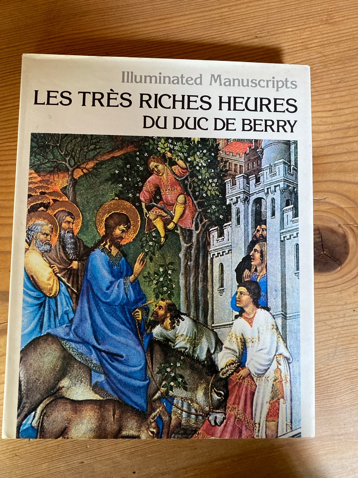 Les Très Riches Heures du Duc de Berry - Geïllustreerd, Ophalen of Verzenden, Zo goed als nieuw, Europa overig