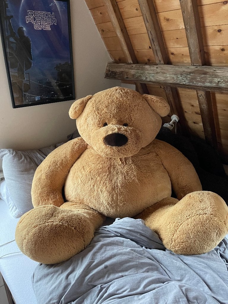 Reuze knuffelbeer 2 meter karamel (Schroeder), Ophalen, Overige merken, Beer, Zo goed als nieuw