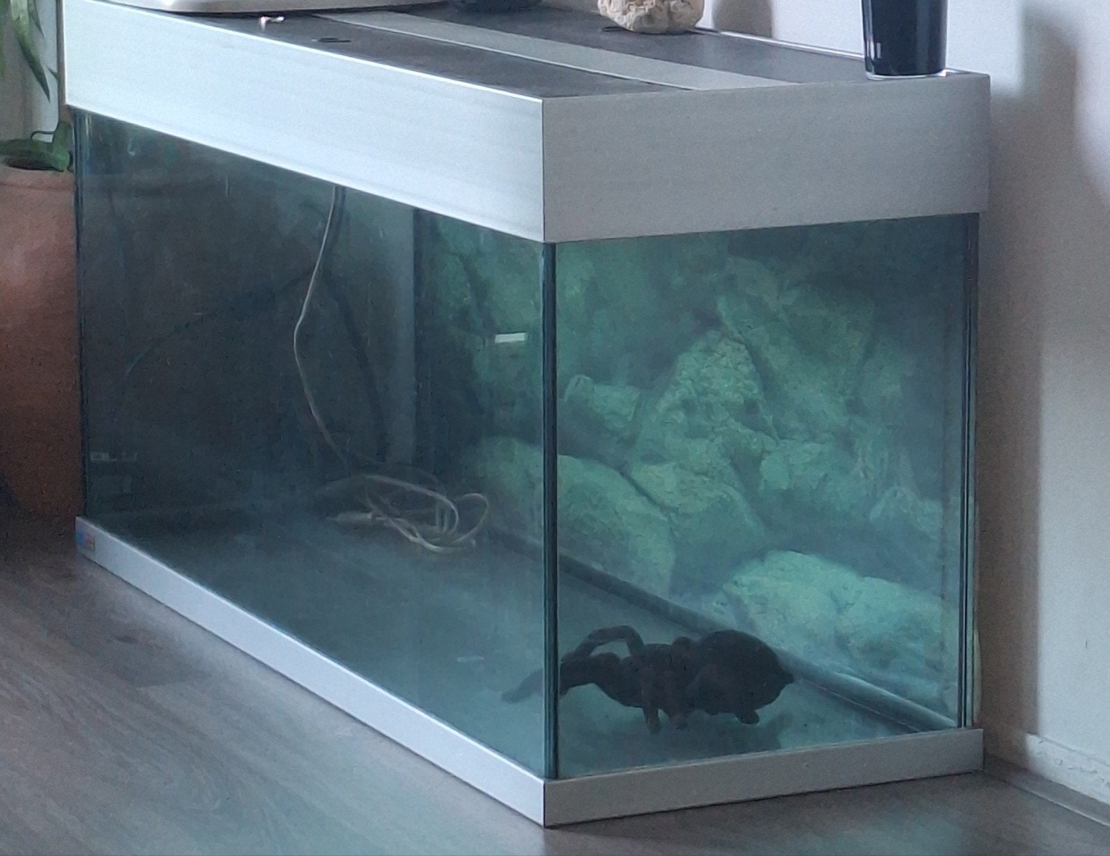 Aquarium 120x40x50, Ophalen, Inclusief toebehoren, Zo goed als nieuw
