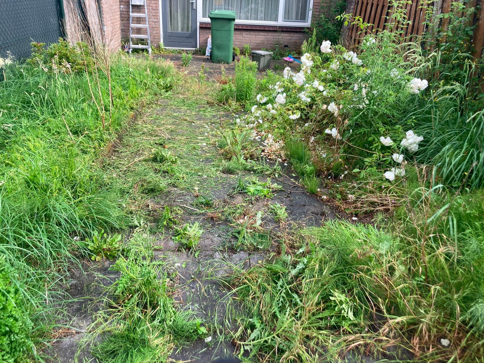 Tuinmannen gezocht? Zoek niet verder hier stef de tuinman, Tuin en Terras, Ophalen, Volle zon