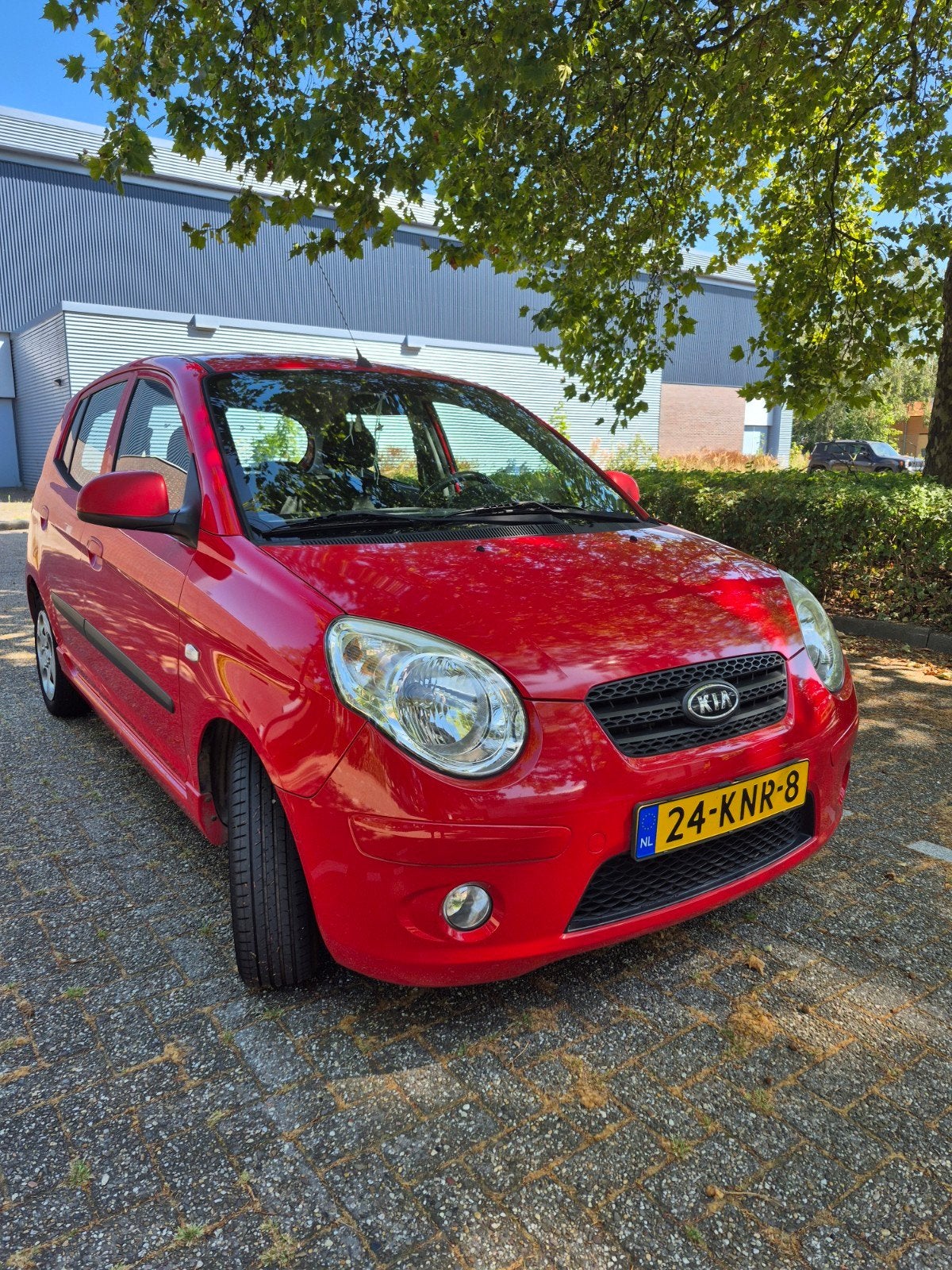 Kia Picanto 1.0 2010 Rood, Auto's, 4 cilinders, 400 kg, Origineel Nederlands, Handgeschakeld