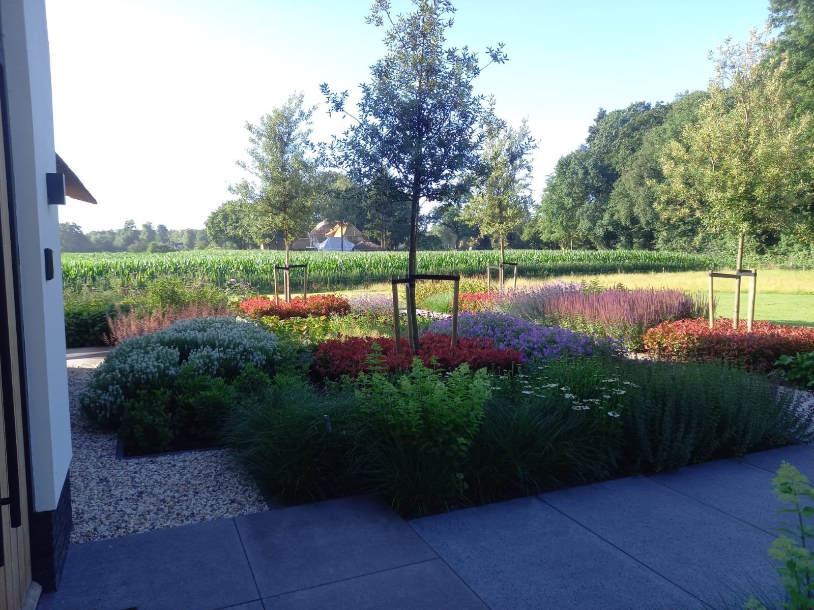 Tuinman hovenier stratenmaker voor al uw tuinklussen!!, Tuin en Terras, Ophalen of Verzenden, Nieuw, 20 m² of meer