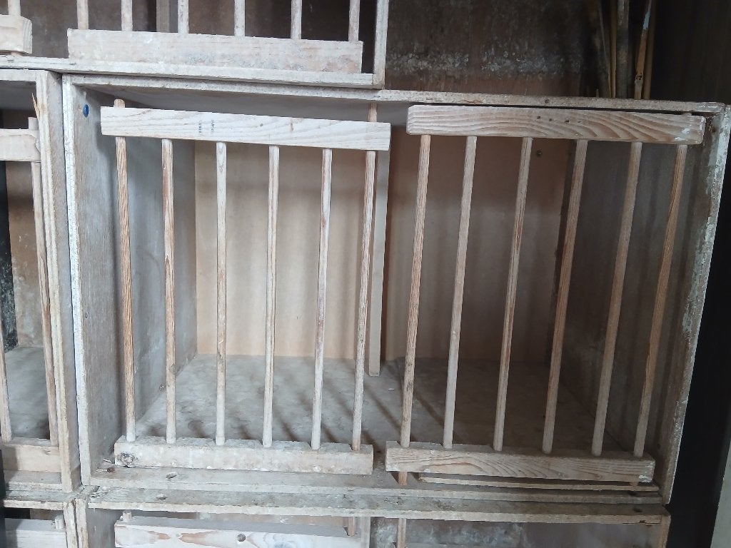 Broedbakken 15 stuks, Dieren en Toebehoren, Meerdere dieren, Postduif