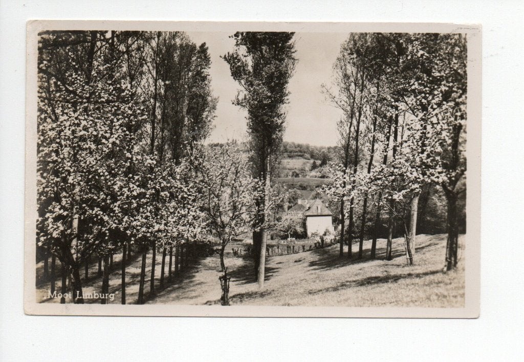 Oude ansichtkaart 'Mooi Limburg' - Gelopen 1942, Ophalen of Verzenden, 1940 tot 1960, Gelopen, Limburg