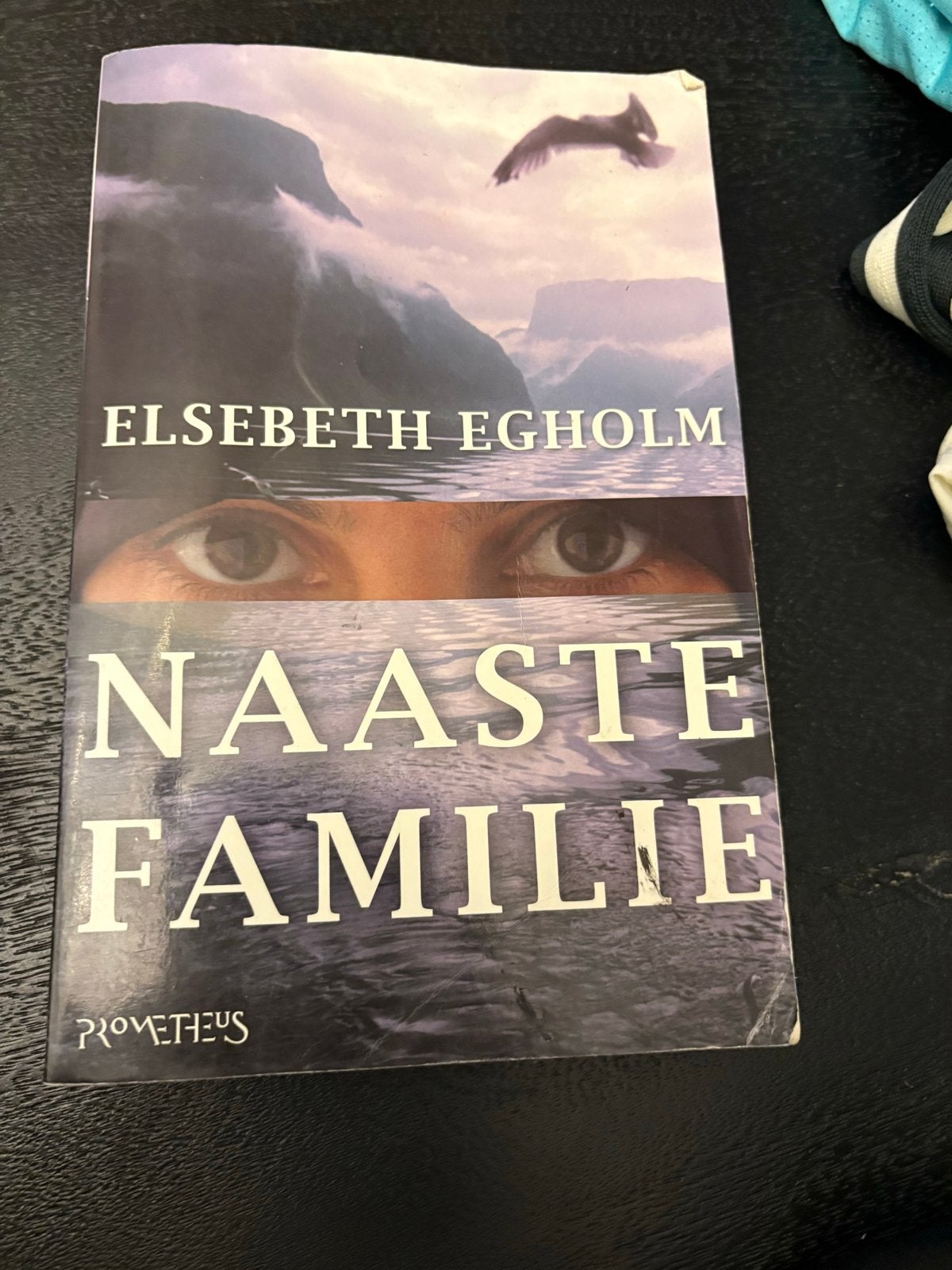 Naaste Familie - Elsebeth Egholm (Thriller), Ophalen, Gelezen, Europa overig