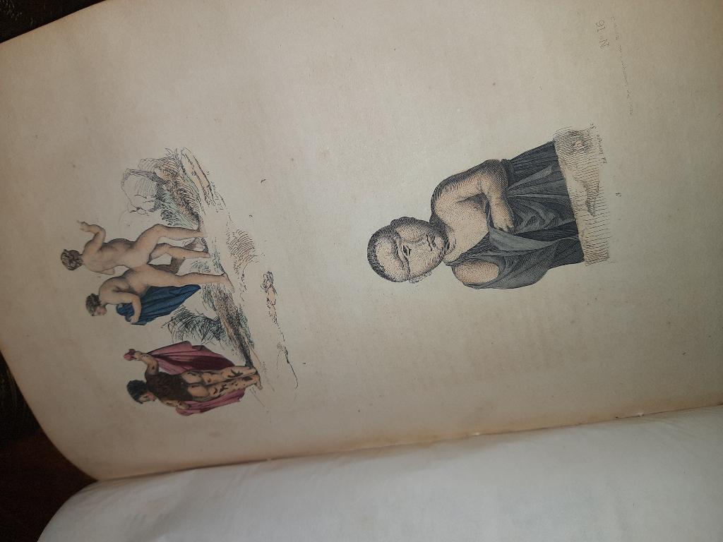 Oevres comple De Buffon, Ophalen of Verzenden