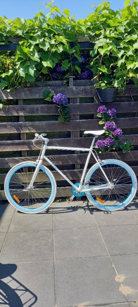 Fiets Avalon FXD Fixedgear 54/59cm 28inch, Fietsen en Brommers, Fietsen | Racefietsen, Minder dan 10 versnellingen, Ophalen, Overige merken
