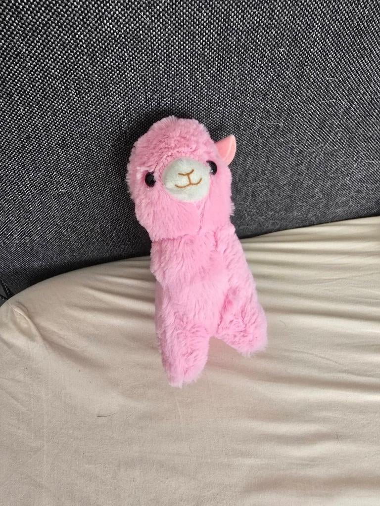 alpaca knuffel     (2, Ophalen of Verzenden, Zo goed als nieuw, Overige typen