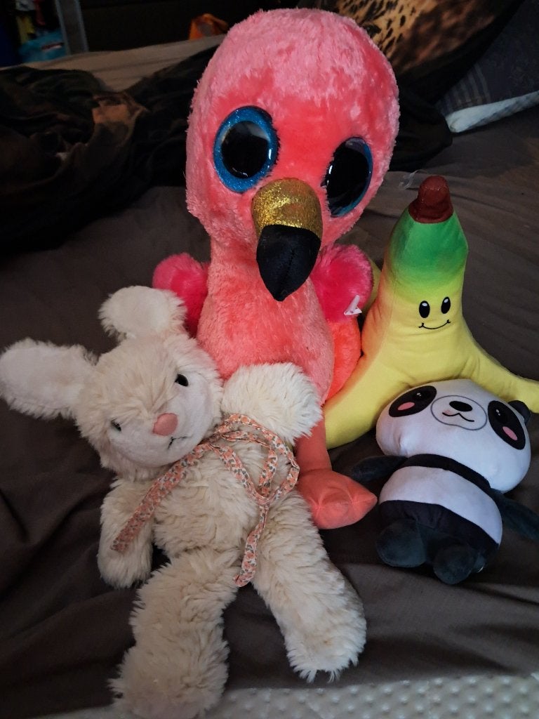 Gratis knuffels, Ophalen, Gebruikt, Overige typen