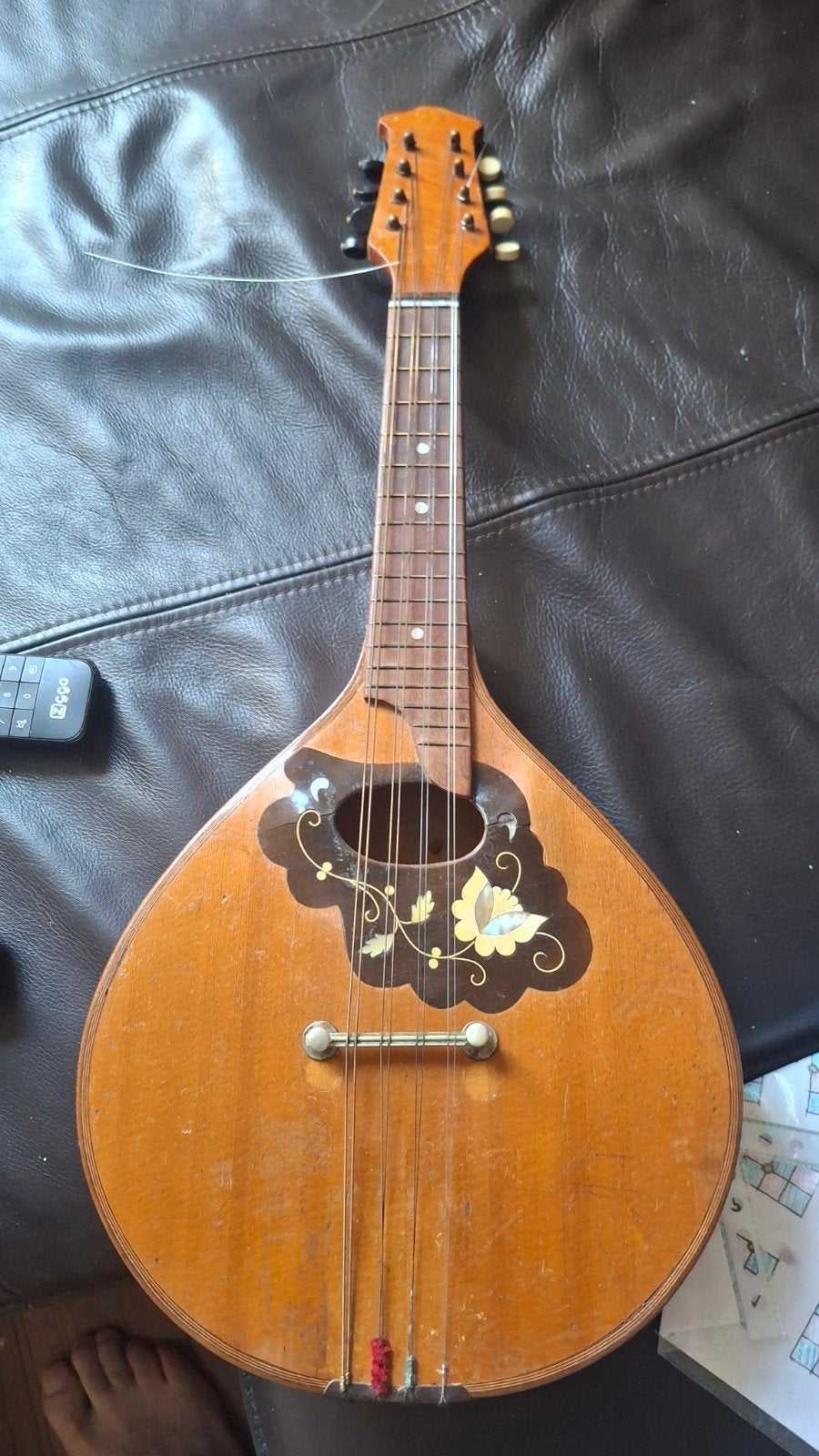 Vintage Mandoline met Koffer - Uniek Muziekinstrument, Muziek en Instrumenten, Snaarinstrumenten | Mandolines, Ophalen of Verzenden