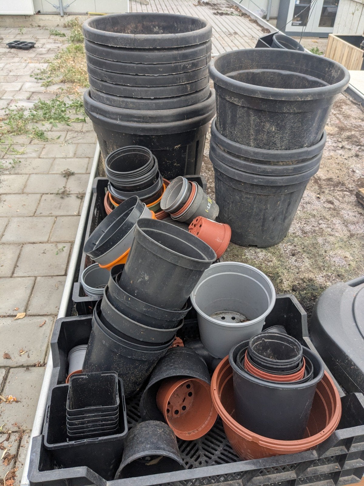 diverse potten, boom kuipen, plastic kweek potjes, Ophalen, Kweekbak