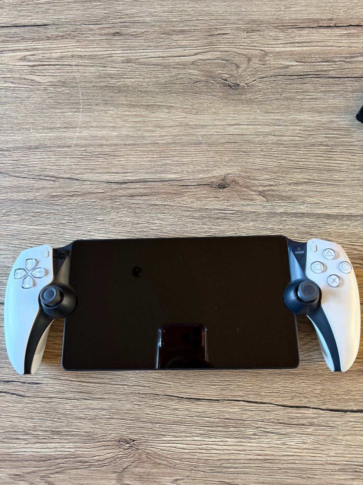 Playstation portal ZGAN