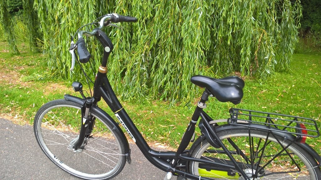 batavus damesfiets 7 versnellingen, Fietsen en Brommers, Fietsen | Dames | Damesfietsen, Ophalen, Gebruikt, Versnellingen, Batavus