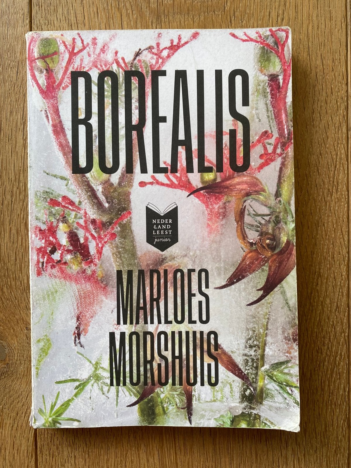 Boek Borealis- Marloes Morshuis, Ophalen of Verzenden, Gelezen, Marloes Morshuis