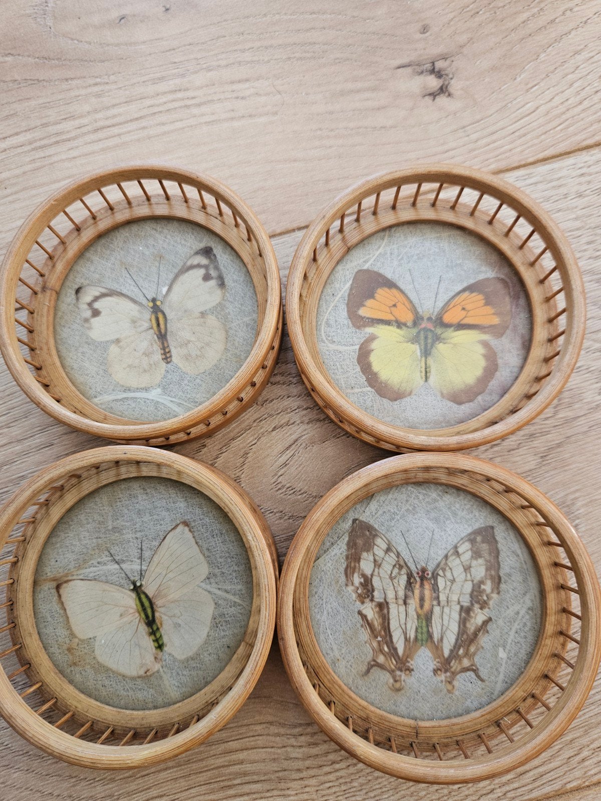 Set van 4 vintage onderzetters met vlinders - Rotan/Hout, Hout, Gebruikt, Glasonderzetter, Meerkleurig