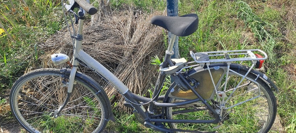 Batavus dames grijs BXXS, Ophalen, Gebruikt, 47 tot 50 cm, Versnellingen