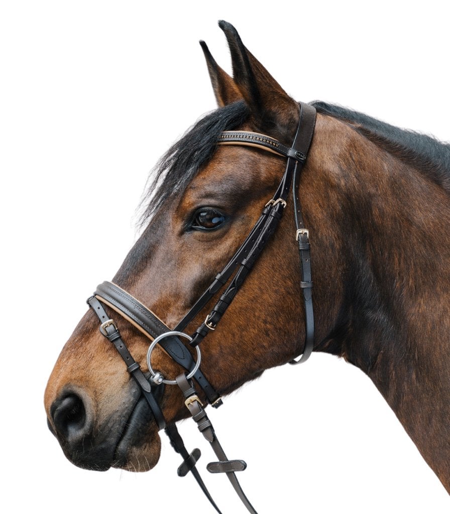 Star Diamond hoofdstel Bruin/Goud maat Mini Shetlander, Hoofdstel, Bruin, ., Nieuw