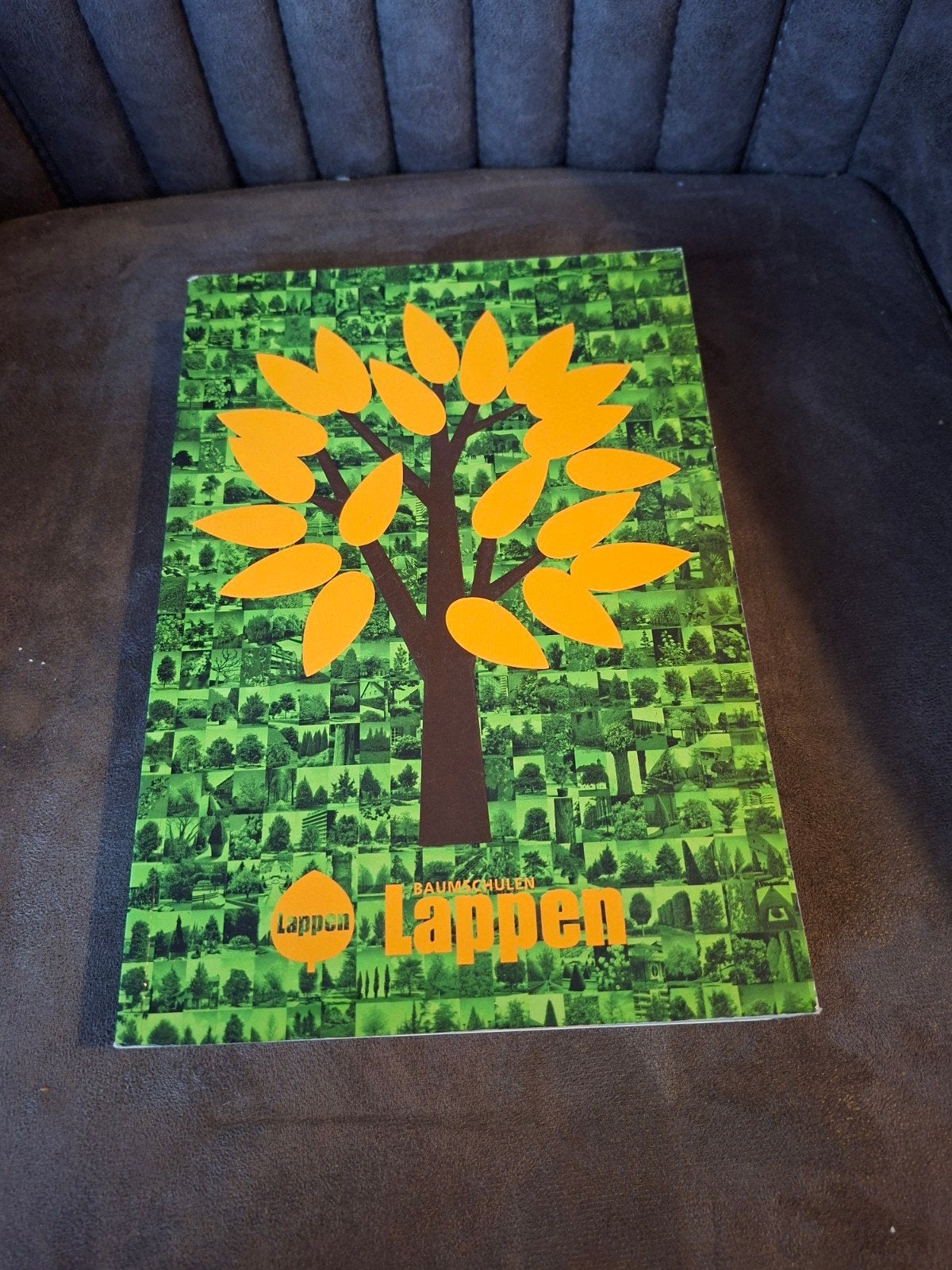 Lappen Boomkwekerij Catalogus 2001 - Rozen en Bomen, Ophalen of Verzenden, Zo goed als nieuw, Lappen Boomkwekerij, Catalogus
