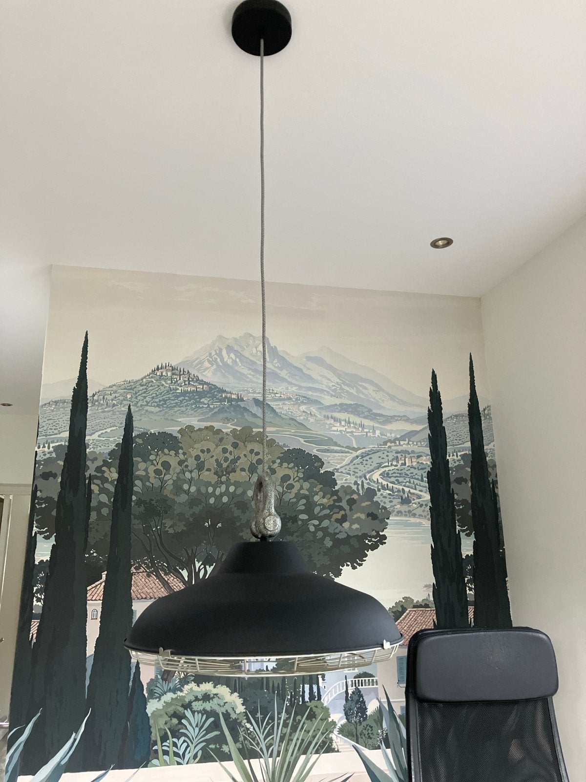 Industriële hanglamp zwart met wit, zwart-wit snoer, Ophalen, Gebruikt, Metaal