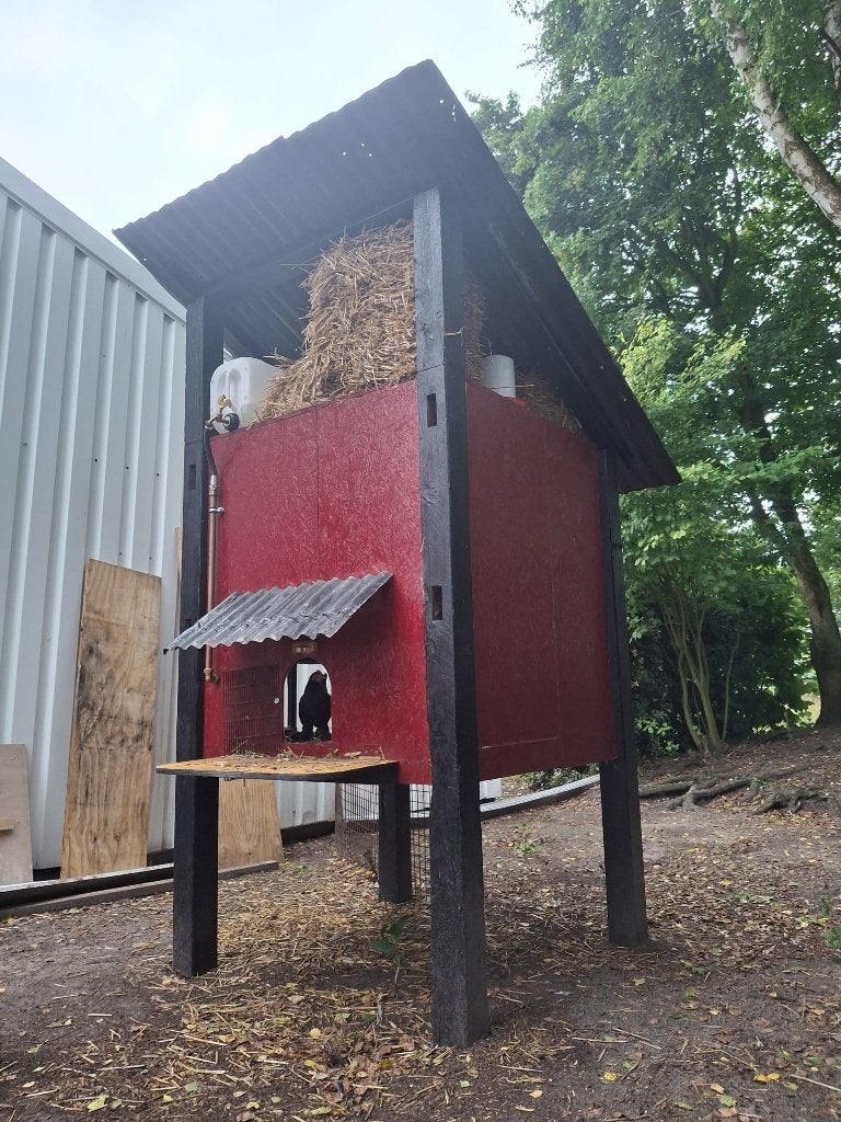 Robuust Kippenhok / Kippenvilla met hooizolder, Ophalen, Kippenhok of Kippenren, Nieuw