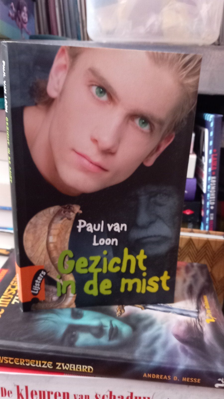 Paul van Loon - Gezicht in de mist (Lijsters), Ophalen of Verzenden, Gelezen, Paul van Loon, Fictie