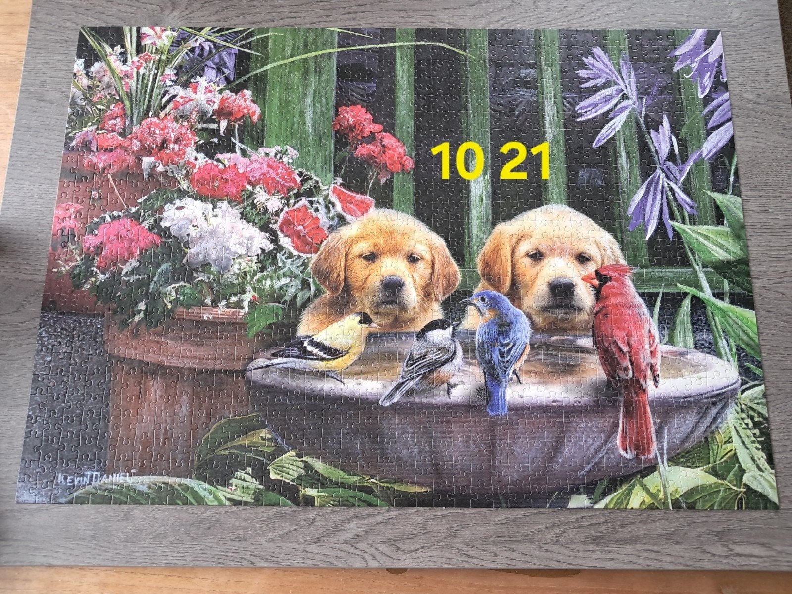 puzzel 1000 stukjes compleet King Animal collection puppies, Ophalen of Verzenden