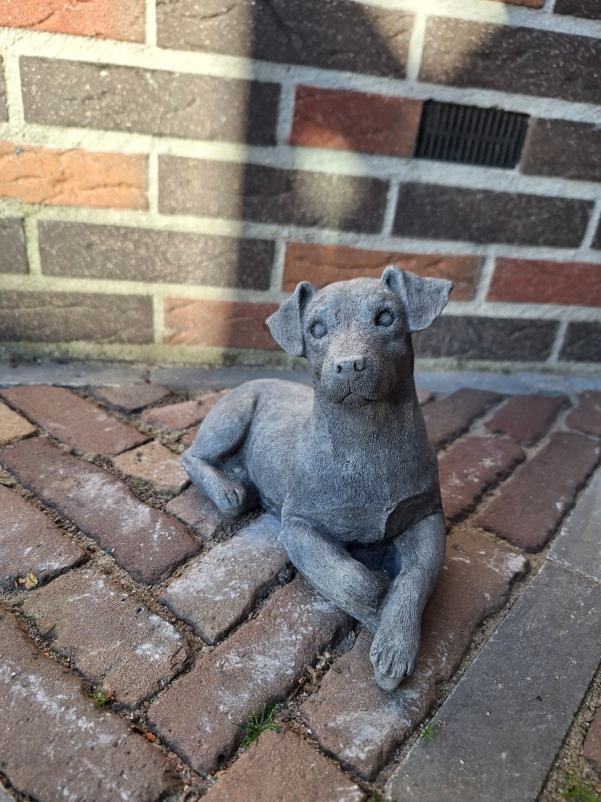 Betonbeeld Jack Russel - 25 cm lang, Ophalen, Nieuw, Beton, Dierenbeeld
