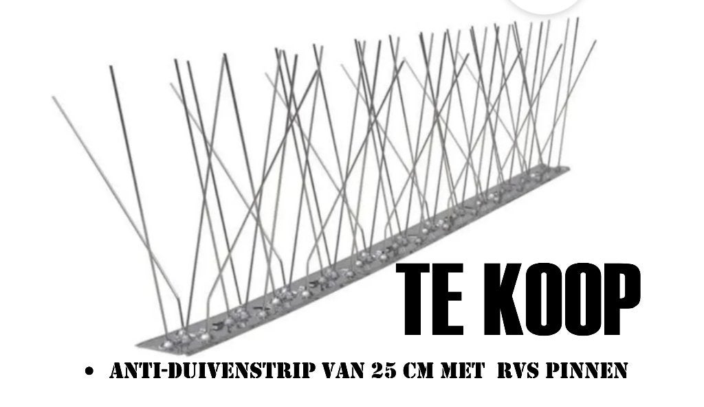 Anti-duiven strip 25 cm rvs, Geslacht onbekend, Overige soorten