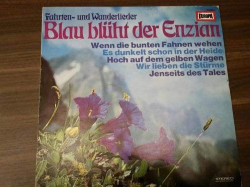 Ina Bergner, Fred Heiders Blau Blüht Der Enzian, Ophalen of Verzenden, Zo goed als nieuw, 12 inch, LP