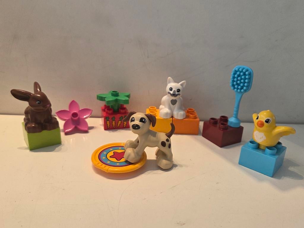 Lego Duplo 10838 Huisdieren - Compleet (mist 1 schaaltje), Inclusief minifiguren, Overige thema's, Ophalen of Verzenden, Zo goed als nieuw