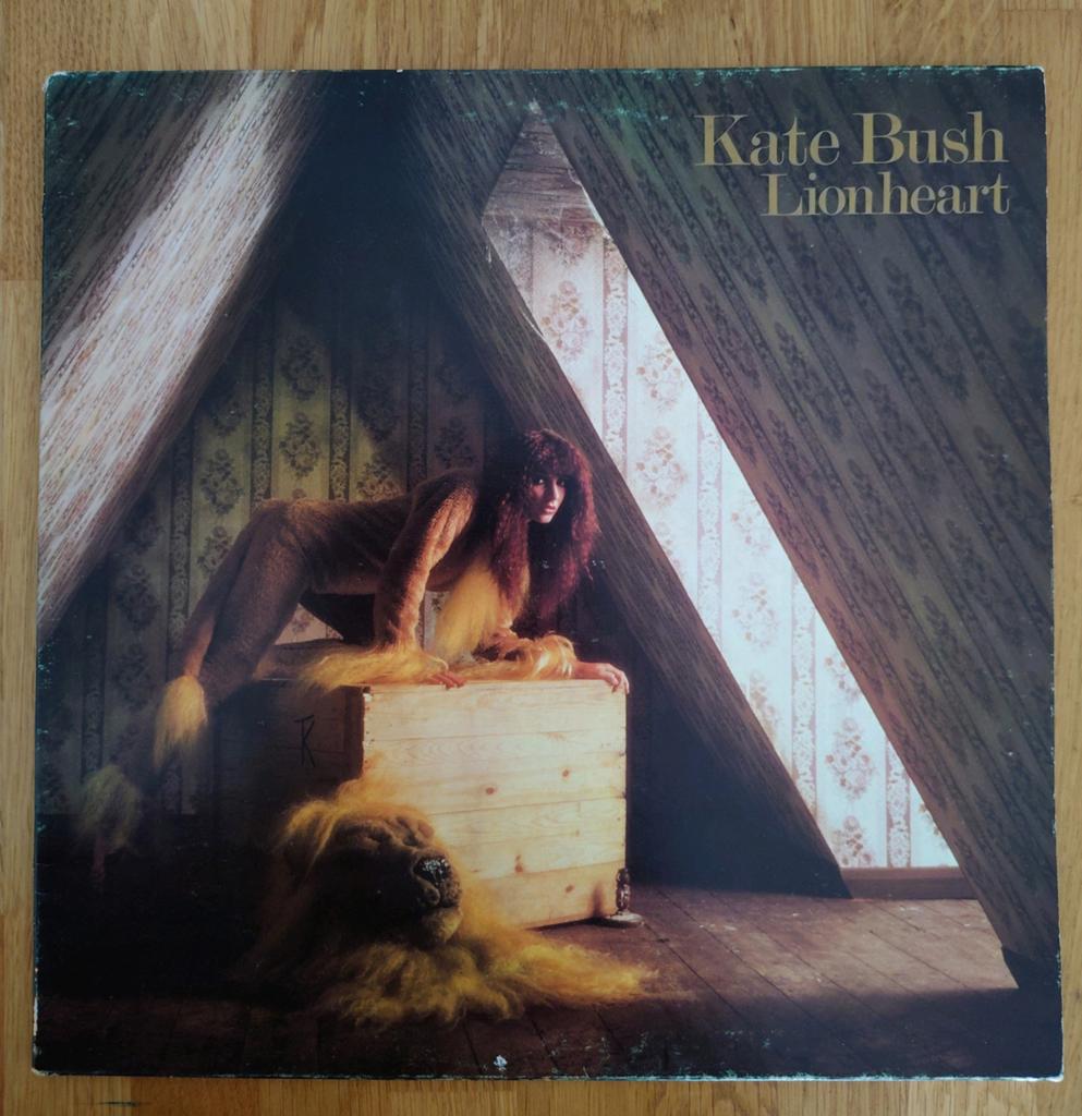 Lp, Kate Bush, Ophalen of Verzenden, Gebruikt, 12 inch, Poprock