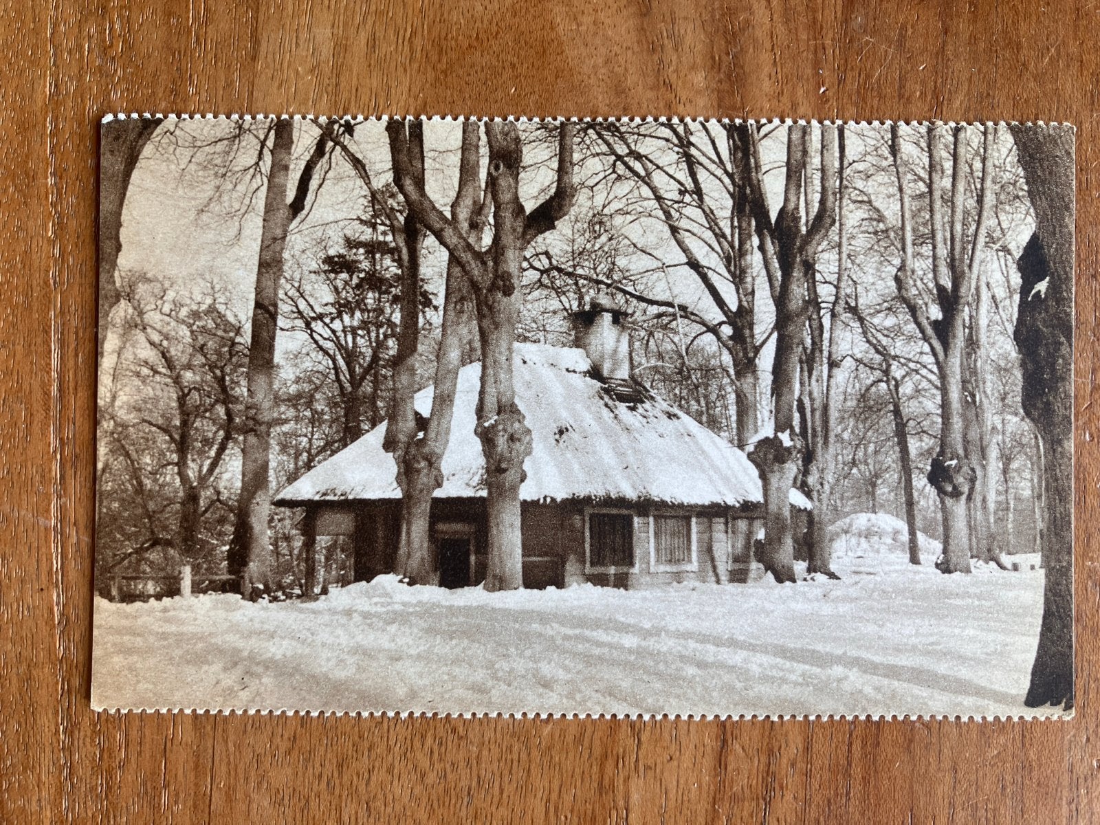 Winter in Søndermarken, Kopenhagen, Ophalen of Verzenden, 1940 tot 1960, Ongelopen, Overig Europa