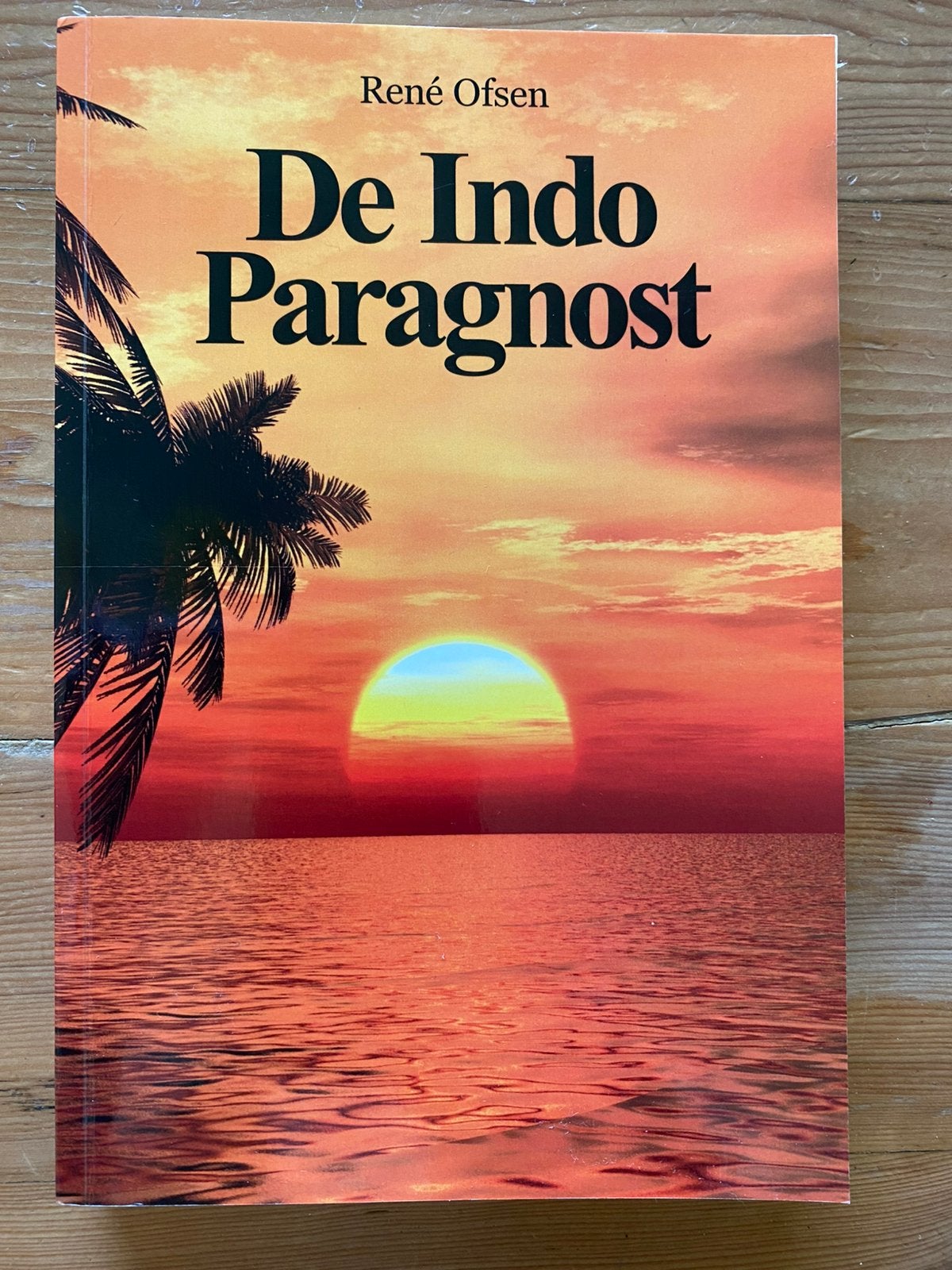 De Indo paragnost - René Ofsen, Ophalen of Verzenden, Zo goed als nieuw, Overige onderwerpen, Achtergrond en Informatie