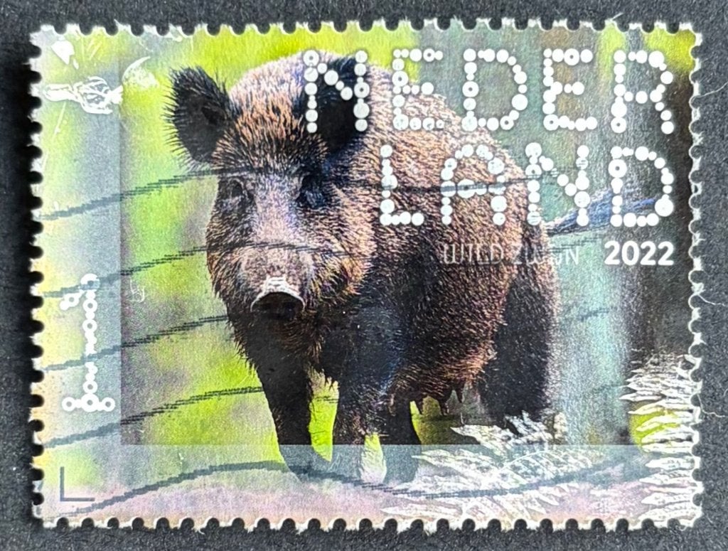 Postzegel Nederland Zwijn Leuvenumse bossen 2022, Ophalen of Verzenden, Gestempeld, Dier of Natuur