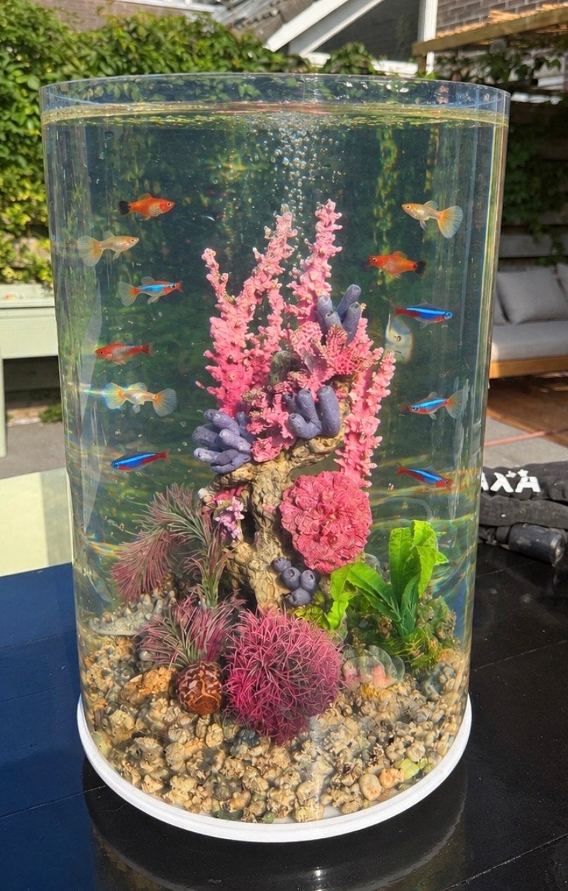 Biorb tube 30 liter, Dieren en Toebehoren, Verzenden, Leeg aquarium