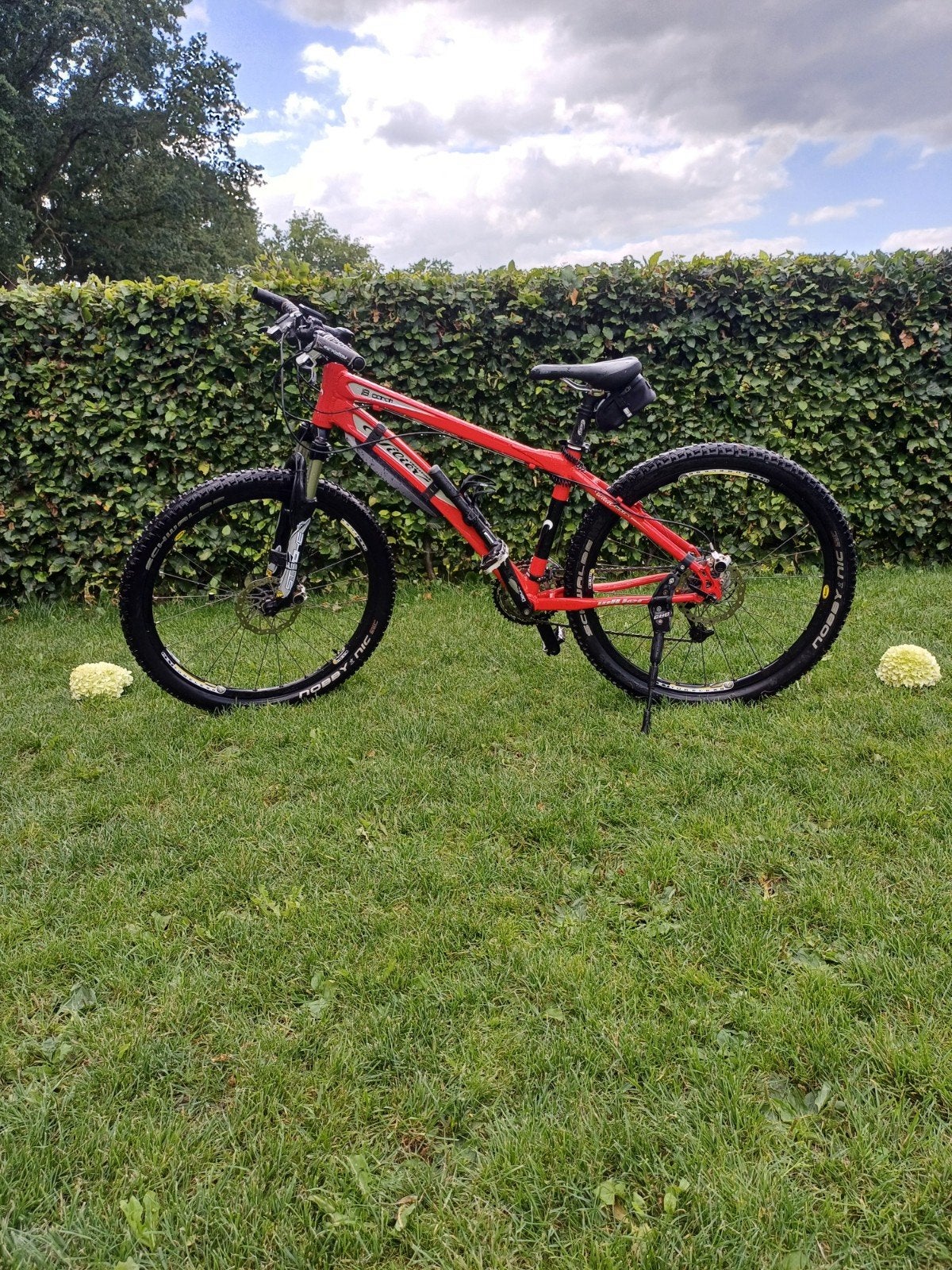 Wilier Triestina Pro Race Mountainbike, Fietsen en Brommers, Fietsen | Mountainbikes en ATB, Ophalen, Gebruikt, Overige merken