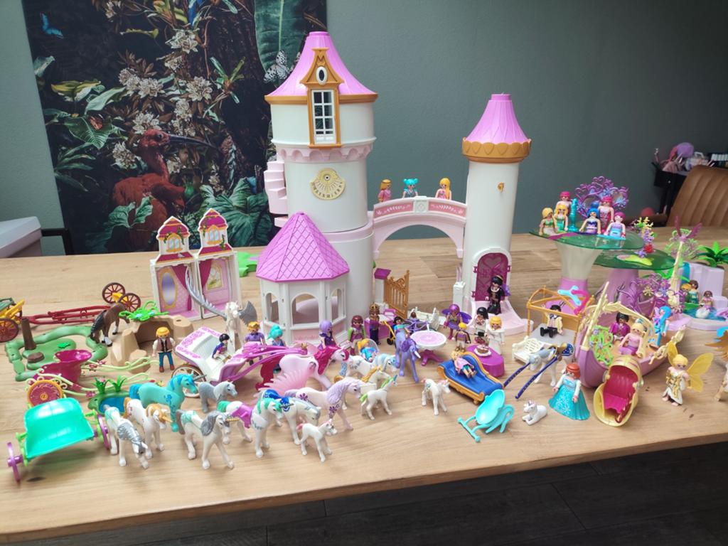 Playmobil, Ophalen, Gebruikt, Jongen of Meisje