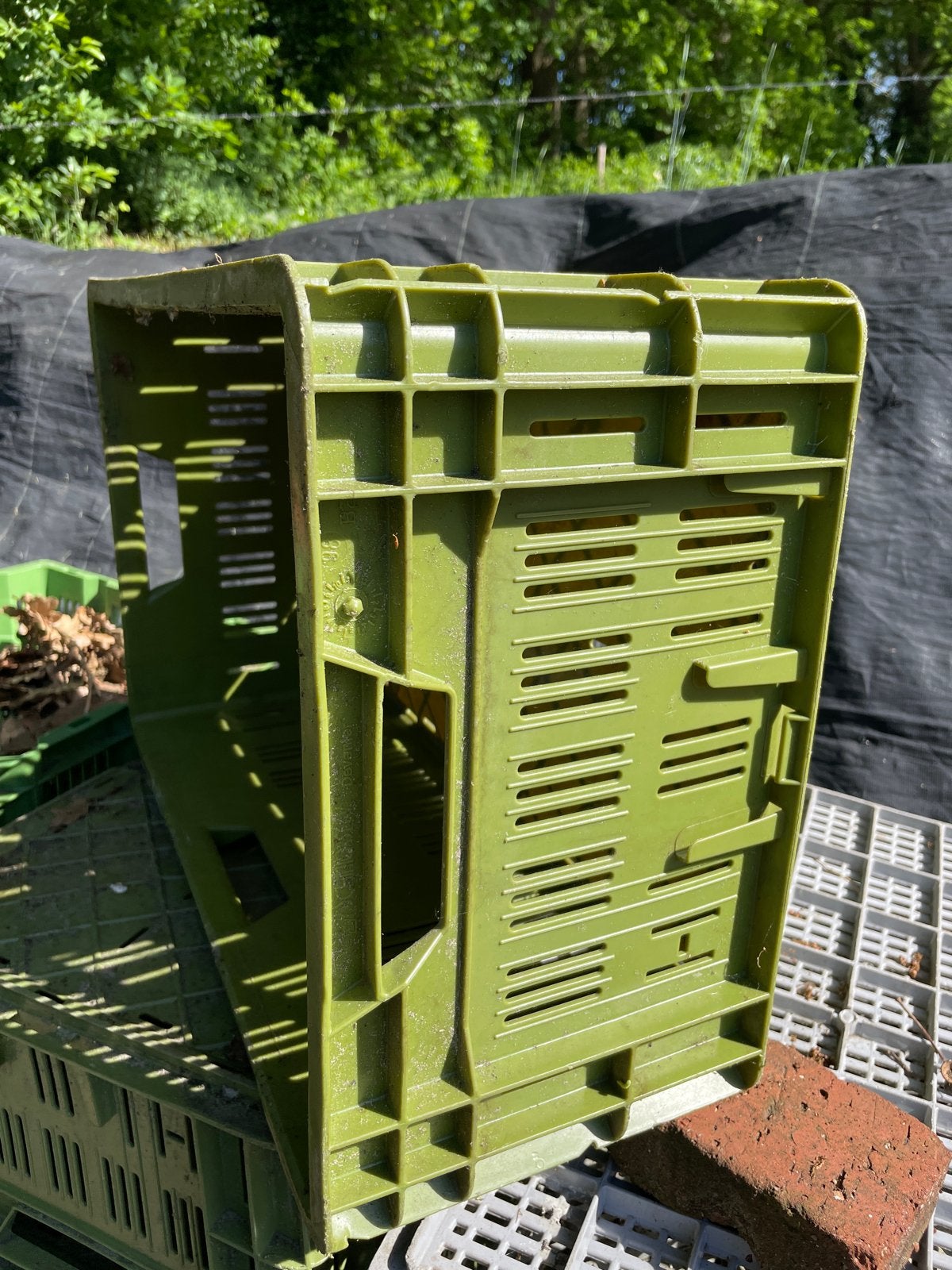 Stevige groene krat voor hergebruik, Ophalen, Gebruikt, 40 tot 60 cm, 50 tot 75 cm