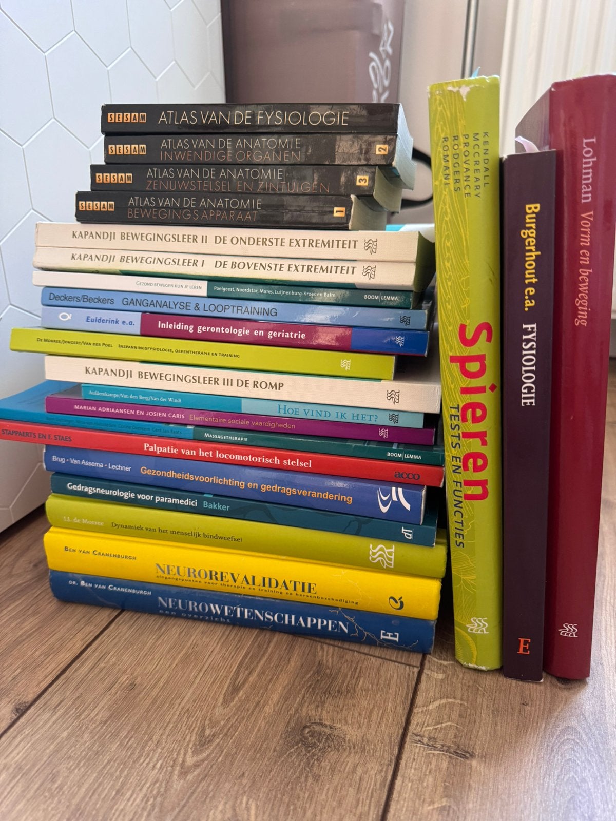 Fysiotherapie boeke, Ophalen of Verzenden, Gelezen
