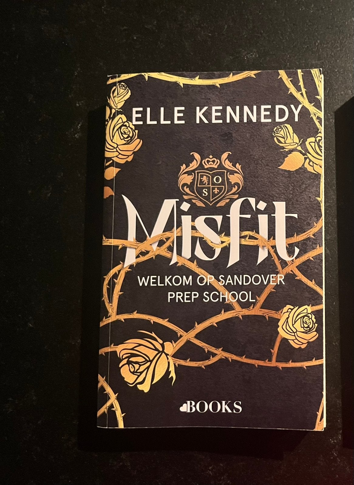 Elle Kennedy - Misfit - Sandover 1. 1x gelezen., Boeken, Romans, Ophalen of Verzenden, Zo goed als nieuw
